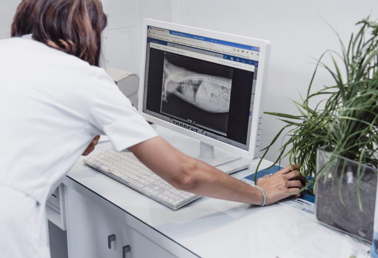 Interpretacion Radiografias servicio