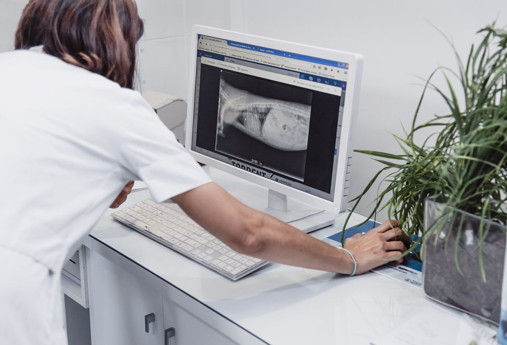 Interpretacion Radiografias servicio