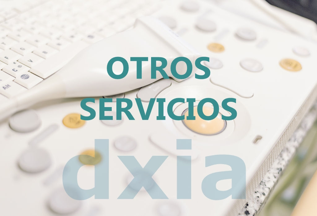 Otros servicios DXIA