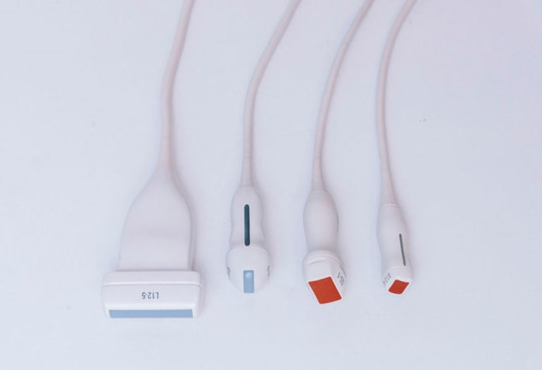 Ecografia abdominal cardiaca de animales exoticos