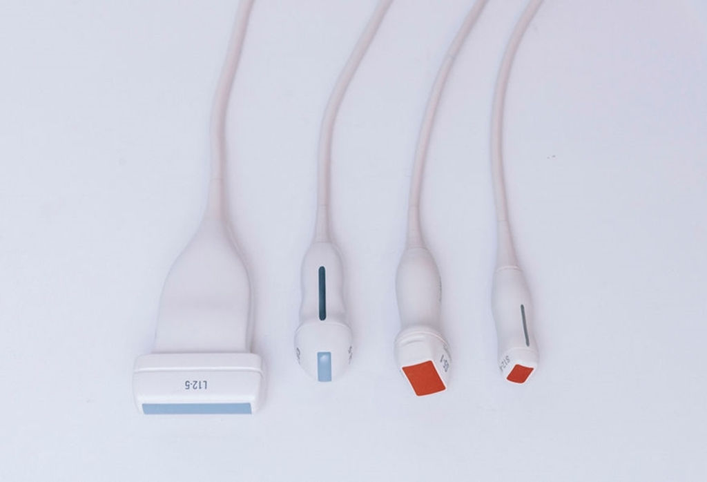 Ecografia abdominal cardiaca de animales exoticos